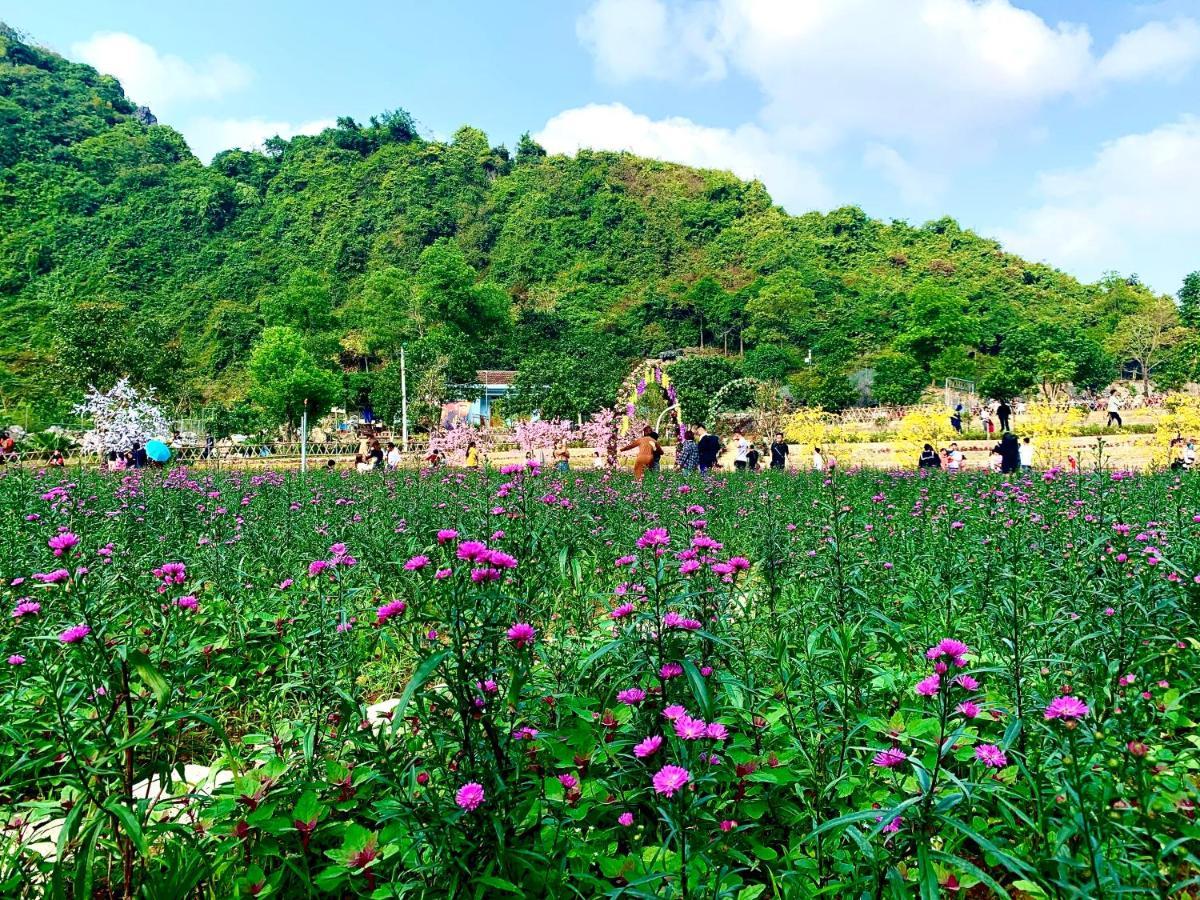 Tuan Nam Homestay نينه بينه المظهر الخارجي الصورة