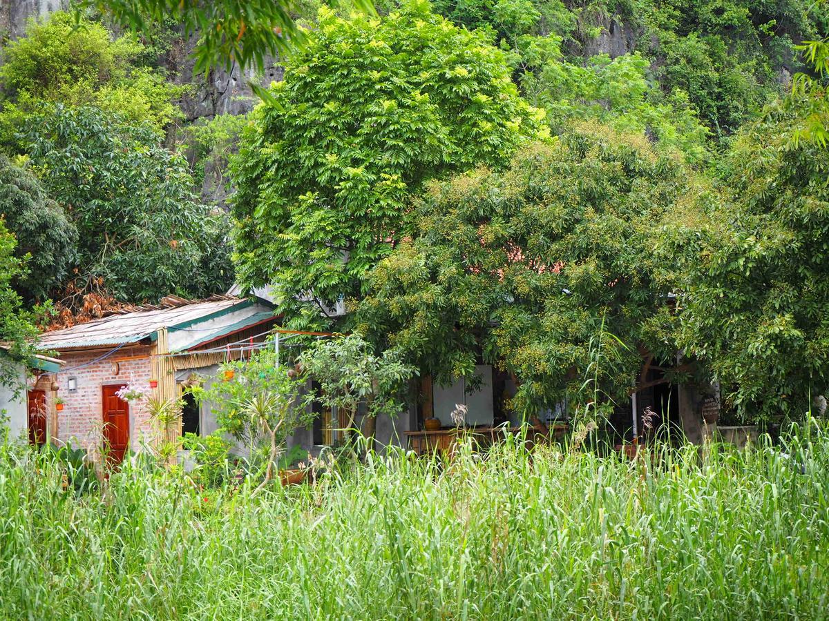 Tuan Nam Homestay نينه بينه المظهر الخارجي الصورة